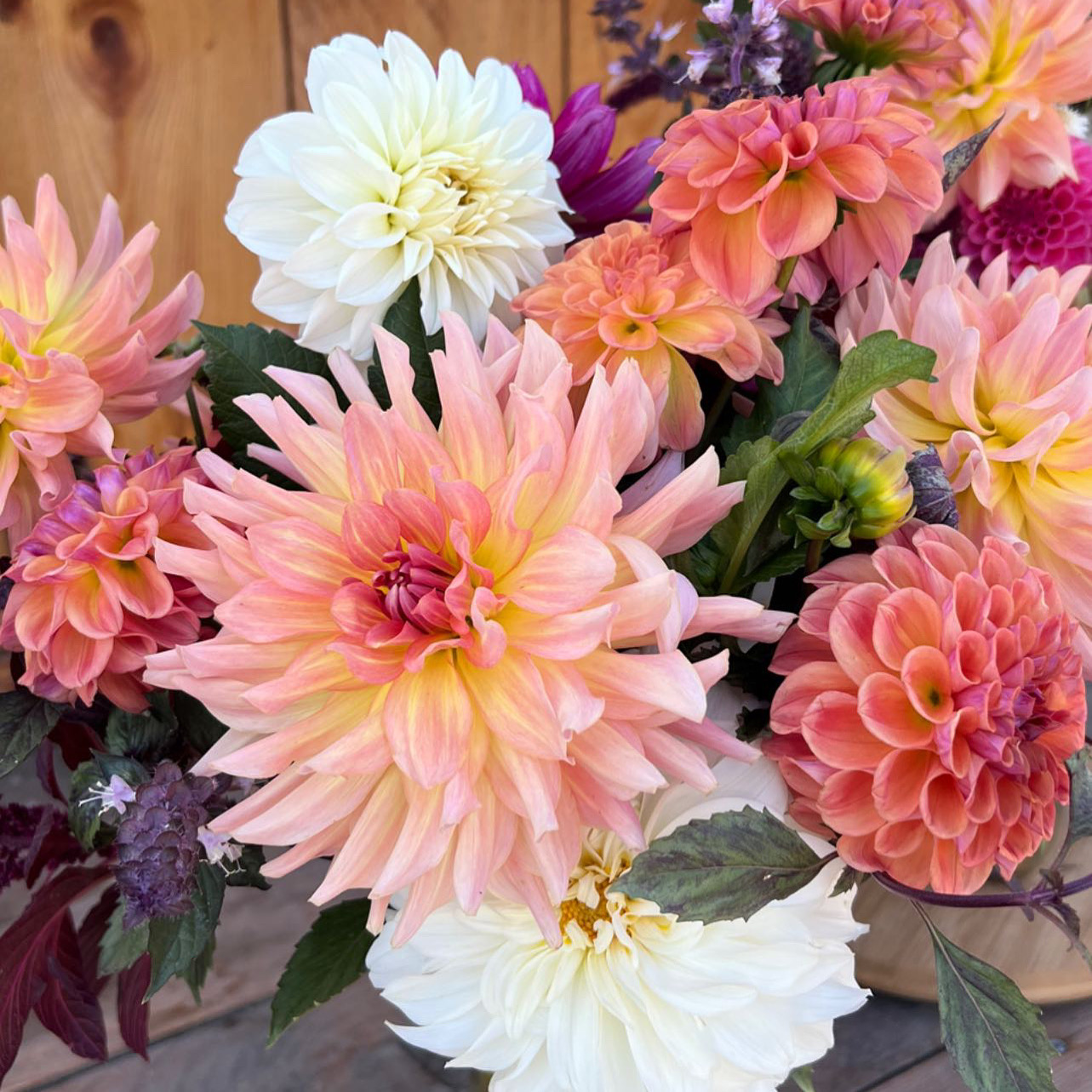 Summer Dahlia Arrangement