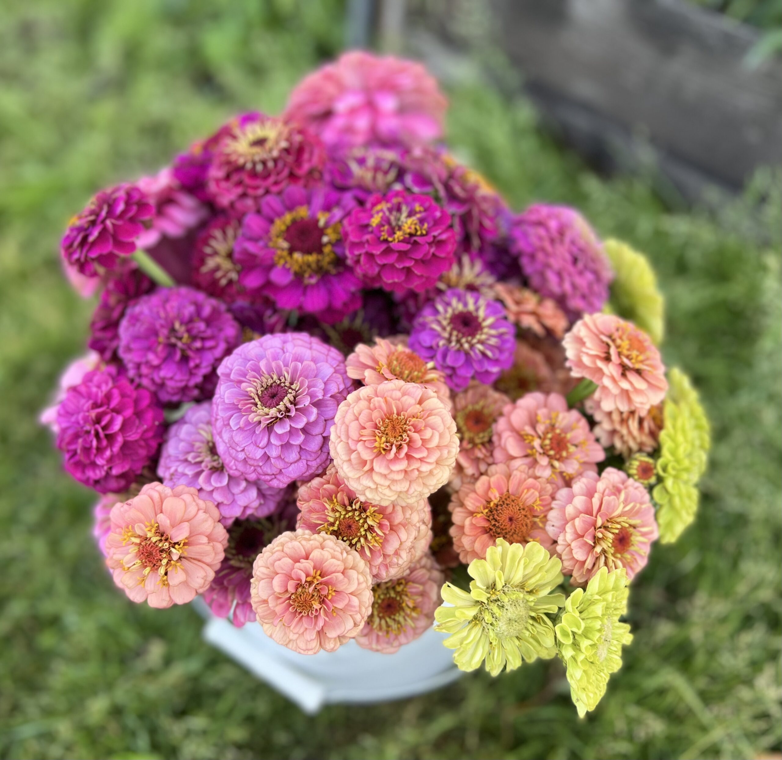 DIY Floral Buckets