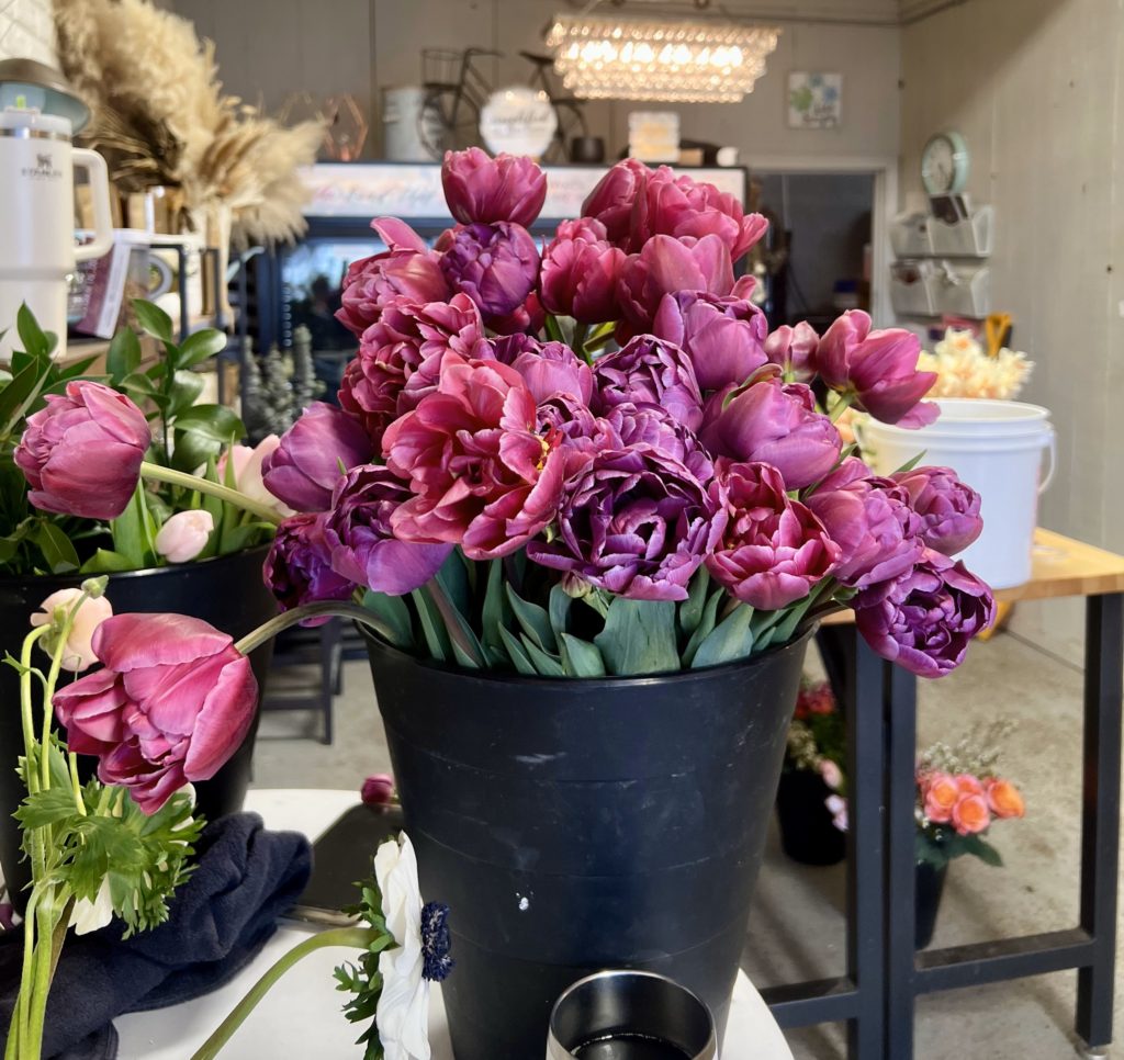 Bucket of Peony Tulips